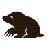 Mole icon