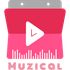 Muzical icon