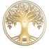 New Life Daily icon