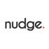 Nudge Analytics icon