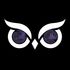 Owl Insight icon