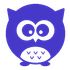 Owlytics.ai icon