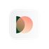 PainApp icon