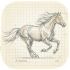 Palomino icon
