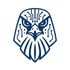 Peregrine OS icon