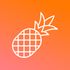 Pineapple Builder icon