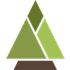 PinoJS icon