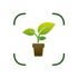 Plant Identifier and Care Help icon