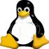 PORTABLE LINUX APPS icon