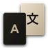 QTranslate - Free Translator Software icon
