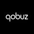 Qobuz icon