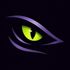 RaptorWayz icon