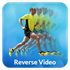 Reverse Video icon