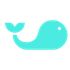 RunYourPool icon