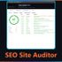 SEO Site Auditor icon