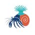 Simbioza icon