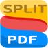 Split PDF icon