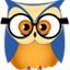 Stat Owl icon