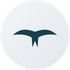 Sterna Mail icon