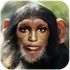 StyloM icon