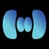 SYNCT icon
