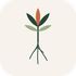 Take Root Abroad icon