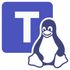 Teams for Linux icon