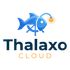 Thalaxo cloud icon