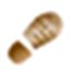 TrekBuddy icon