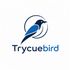 TryCuebird icon