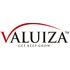 Valuiza icon