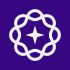 Vanish Private AI icon