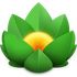 Versions icon