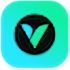 VidScout icon