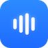 VoiceWink icon