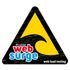 West Wind WebSurge icon