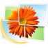 Windows Live Photo Gallery icon