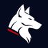 WireDog VPN icon