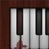 WonkyTonk Piano icon