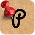 Pinnic icon