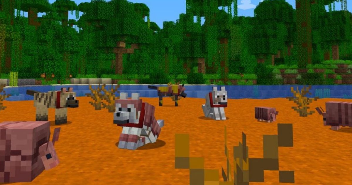 Minecraft Wolves Update Minecraft v1.20.5 'Armored Paws' update introduces Armadillos, Wolf ...