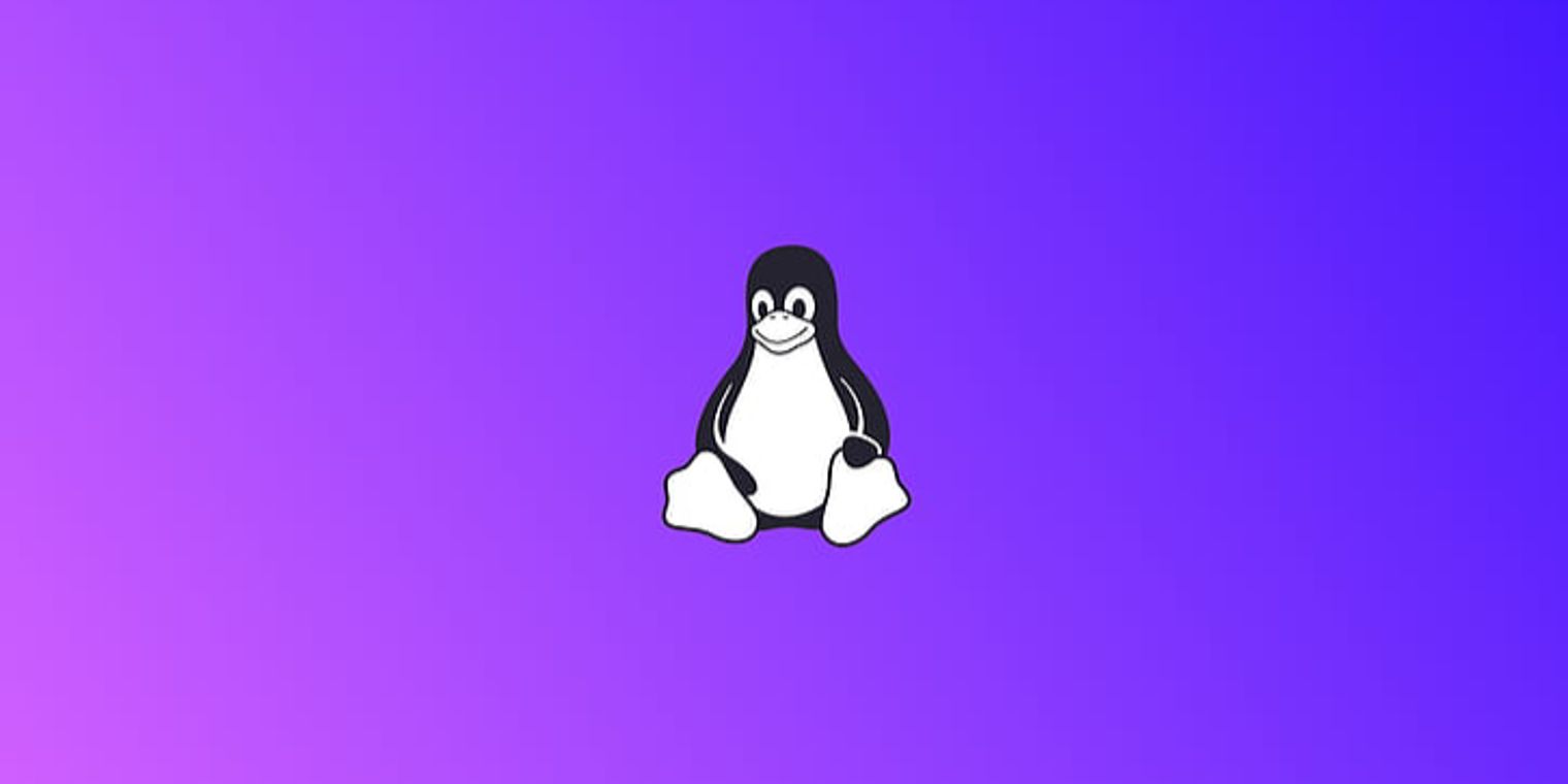 A new NetFilter security flaw has been discovered in the Linux Kernel ...