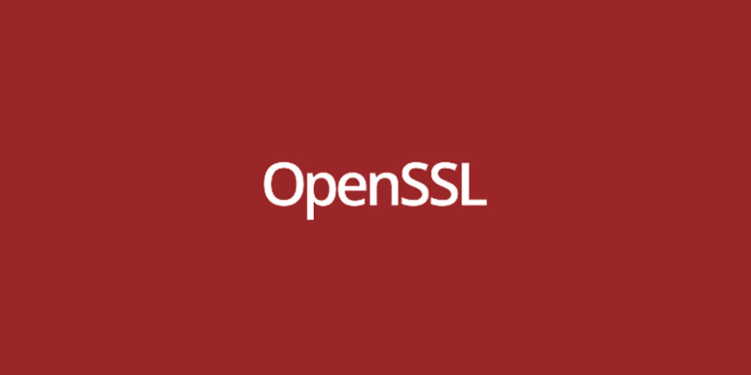 OpenSSL 1.1.1 series reaches End of Life and urges users to upgrade or ...