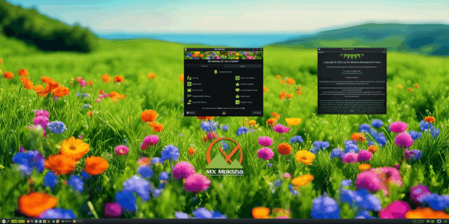 AV Linux 25 and MX Moksha 25 released with updated file and VM features ...