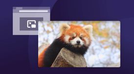 Firefox is introducing an exciting automatic Picture-in-Picture mode for background tabs image