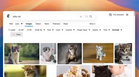Kagi enhances image search with AI filters and labeling for authentic results image