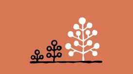 Claude launches the Max Plan for most active users image