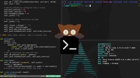 Kitty terminal 0.46 adds smooth momentum-based scrolling, tab reordering & split resizing image