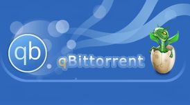 qBittorrent 5.2 brings disk space display, reboot automation, and tracker status filter image