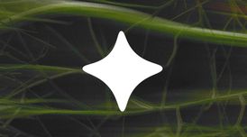 Ecosia's AI now runs on European models with improved privacy and efficiency image